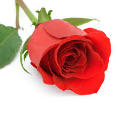 cembt_r