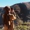 Hayal_2