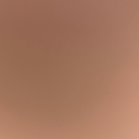 zynp1115