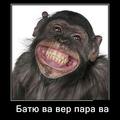 svetlana111