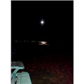 tam3507