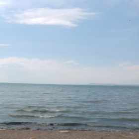Ceego