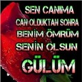 arda5151
