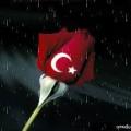 TRvaTAndAşI
