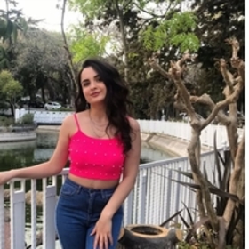 saminaminae