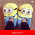 sapgirl_