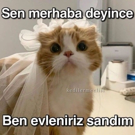 Barış_evlenbenimle