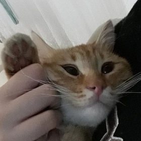 kuuuuurbaa