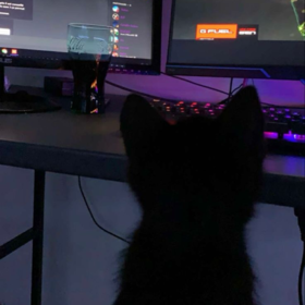 sipidikcat