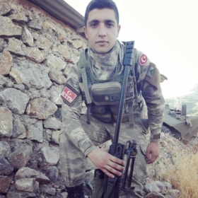 gazi241