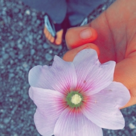 sahsinamnhsrr