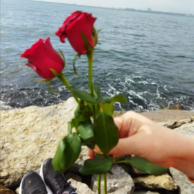 süreyya_nur