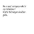 Fialka_n