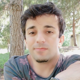 HayaLpperEstt