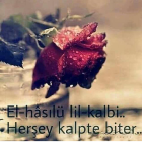 Nesrinmm