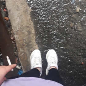 Mjdshn