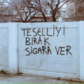 Cgursoy355