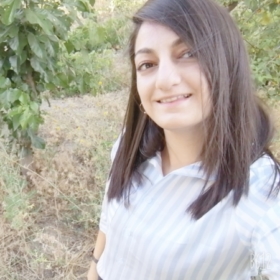 kntszmlkk