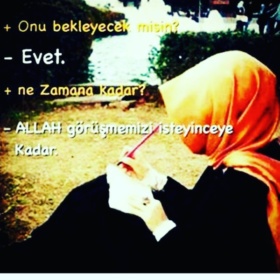 ayshe01g