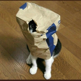 Neseligiz