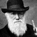 Darwin666