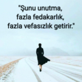 Mervmrv