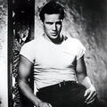 CdLMarlon
