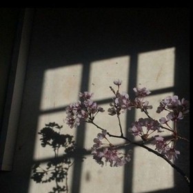 Gizem_Kayal