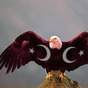 edemhatyazçiçek