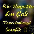 Kelebek035