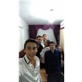 penguen14