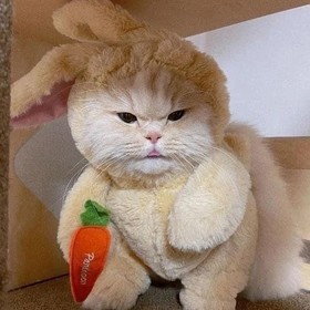 Seninbanagülüşün