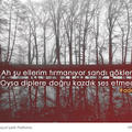 portakalyildirimhan