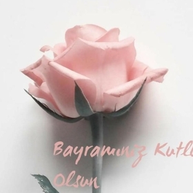 bergin755