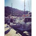 Emremirac48