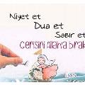 Disci_hanım