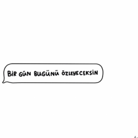 ceylan20