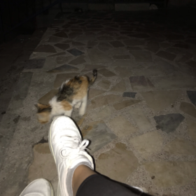 beyzansşa