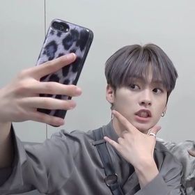 hanjisungie