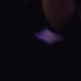 Seaxx