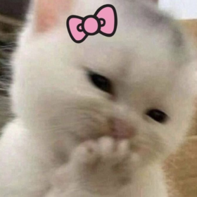 zyyries9320