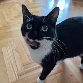 Luxicni
