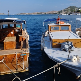 Dmtözlü