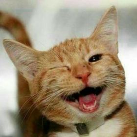 Haykeyf