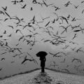 Burak_l7