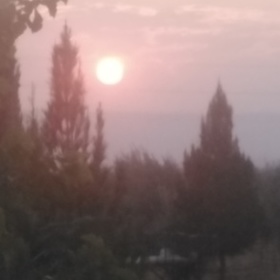 Elifff_2