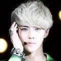 WAO_EXOL_12