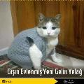 kızann