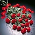 Sevdam_Orhan