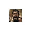 leonidas13x